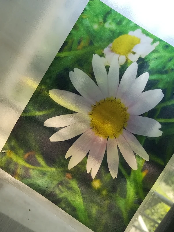 

25 sheets paper tags A4 Transparent Self Adhesive Can be torn Easy Peeling Printable Sticker Paper For Inkjet Printer TM-C3520