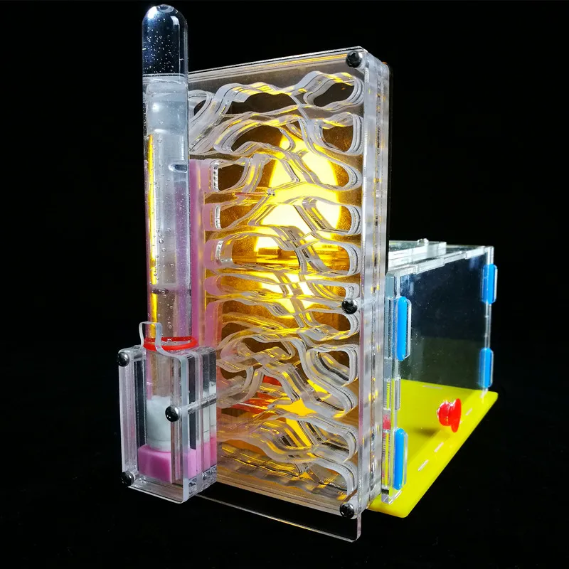 Новинка, Т-образное гнездо муравьев, живой муравей, для просмотра места обитания, игрушечный муравей, гнездо, акриловое, для фермы, B1, для детей, класс биологии, игрушка, Granja De Hormigas Hormiguero - Цвет: clear tea cover