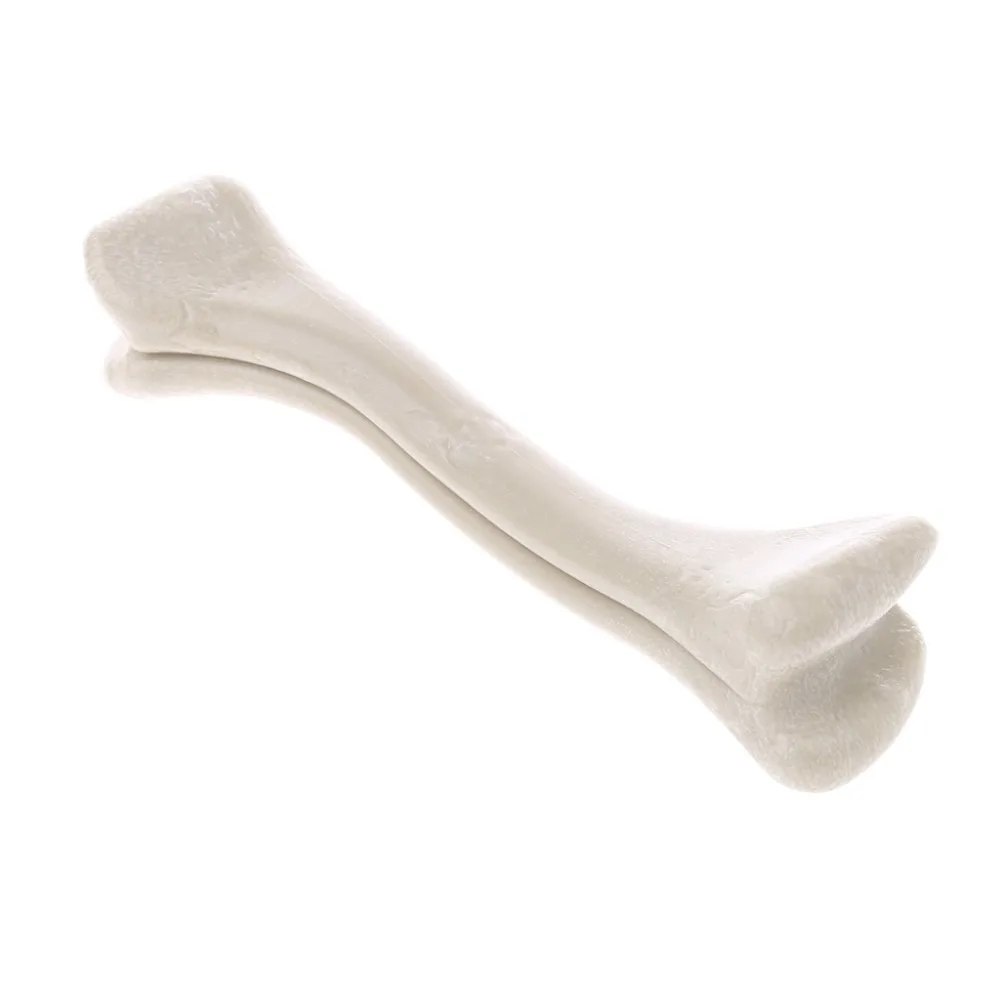 

Pet Dog Puppy Dental Teeth Bone Shape Chew Toys PP Resin Training Funny Play Toy