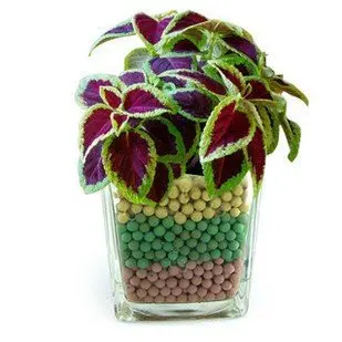 by CPAM Green office plants Colored grass clean the air Radiation prevention small plants