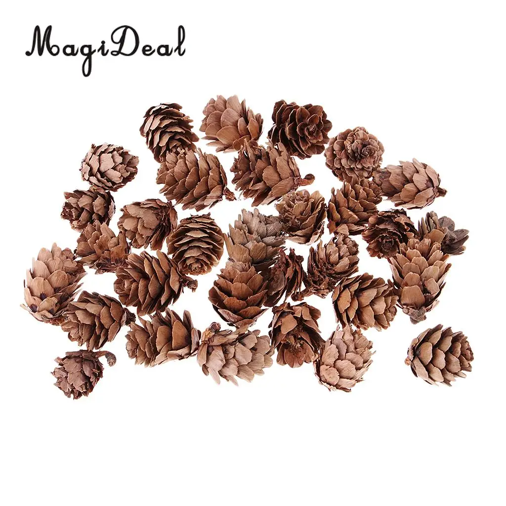  30 Pieces Mini Small Natural Dried Pine Cones In Bulk Dried Flowers for Christmas Decoration or Crafting