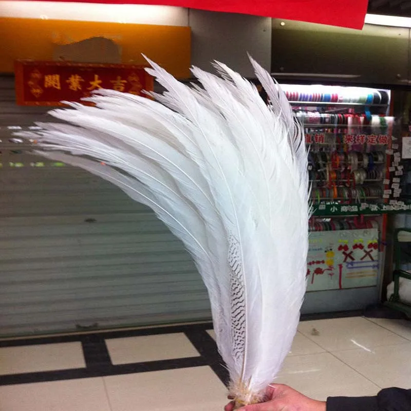 

Wholesale !10 PCS Rare beautiful Silver pheasant tail feathers 65-70cm /26-28inches