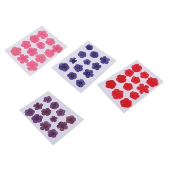 

48x Pressed Natural Dried Flower Amaranthus Embellishment for DIY Phone Case