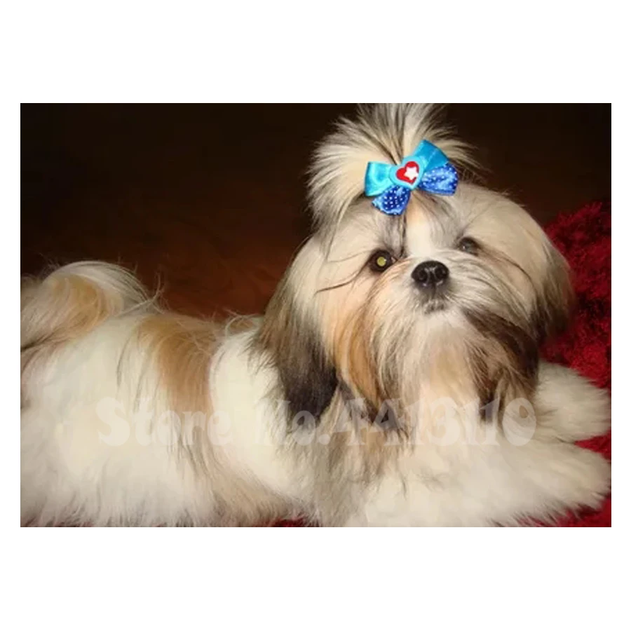 5d diy diamond painting shih tzu animal diamond art 3d diamond 5d diy diamond painting shih tzu animal diamond art 3d diamond