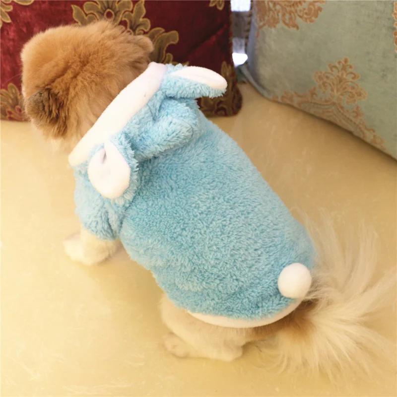 6490760788_361259826