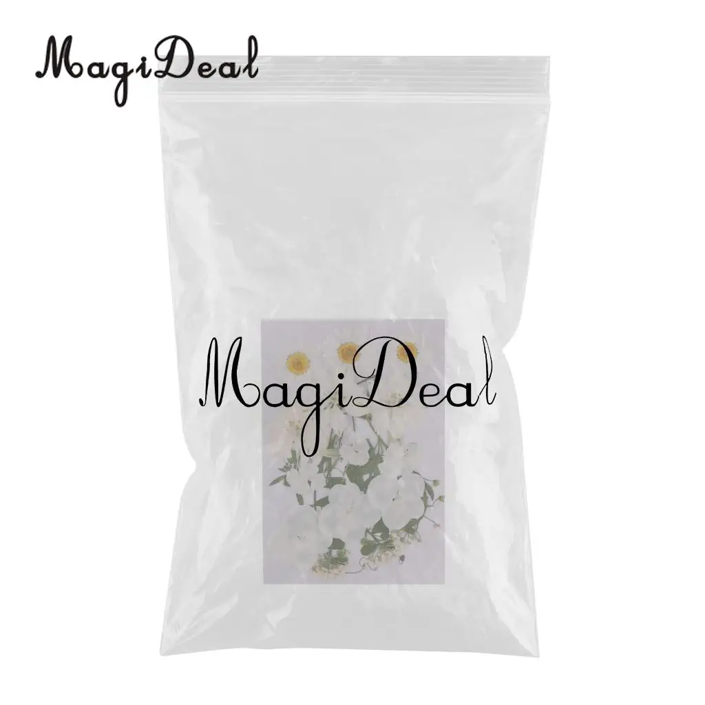 Beautiful Multiple Real Pressed Leaves Natural Dried Flowers for Art Craft Scrapbooking Card Making  Resin Jewelry Craft DIY