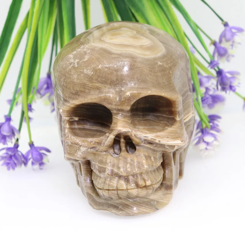 

4.84"1334g NATURAL JASPER Handmade Carved Crystal Skull Crystal Realistic Crystal Healing Furnishing Articles Figurine TC95