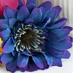 gerbera