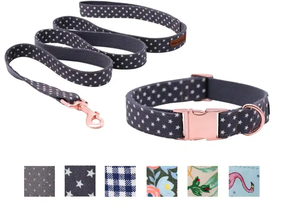 A little unique dog collars Clearance