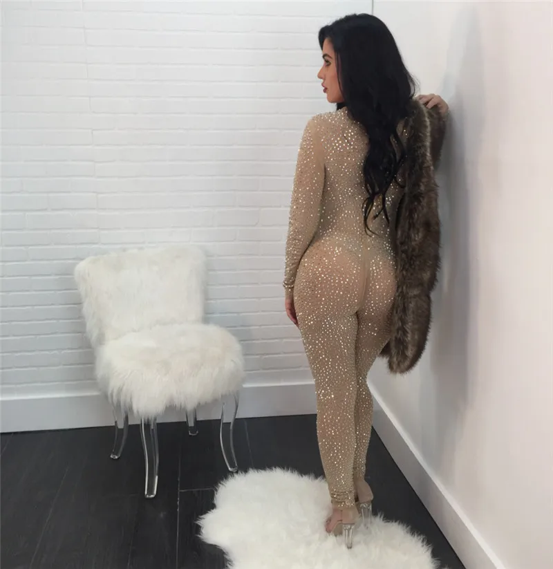 glitter sheer jumpsuit