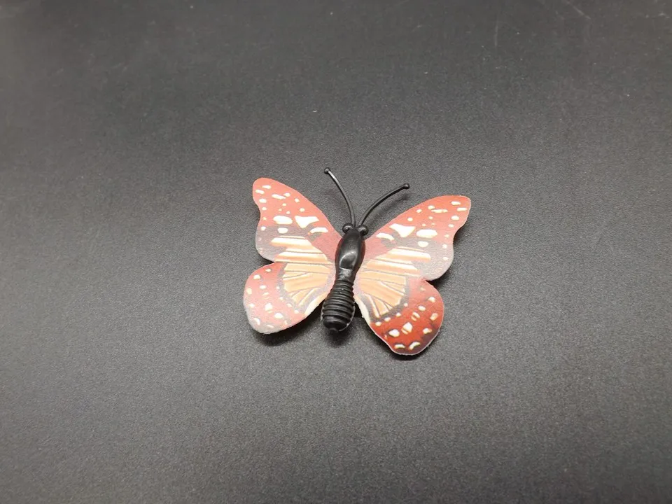 I257-Butterfly (6)