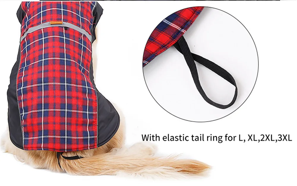 Dog Clothing (24)