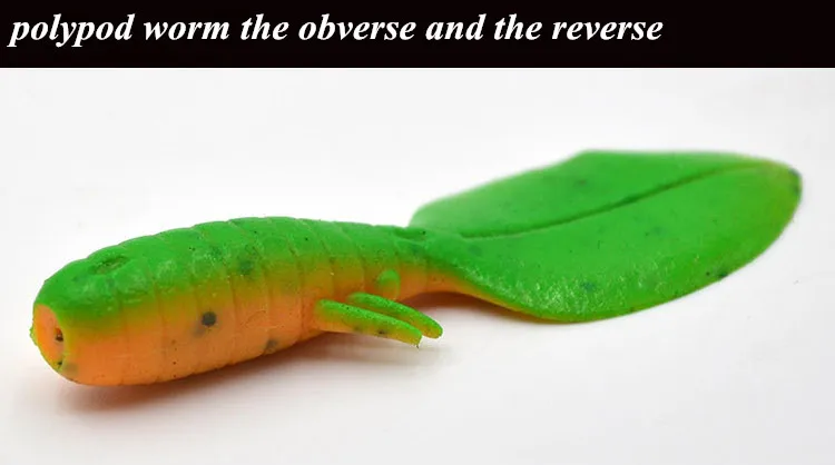 4357442585_414450526_