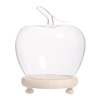 

Glass dome Bell jar Display Case Cloche with Wood Base Dry Flower Ornaments Handmade Craft Cupcake Case Apple Shape