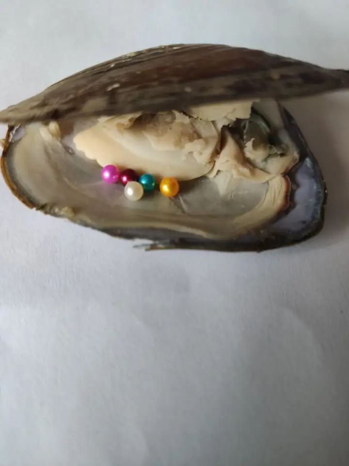 

Baby pearls oyster 3-4mm mini pearls inside Freshwater/Akoya oyster.Random color pearls in 5 or 10 Pieces. BPO1
