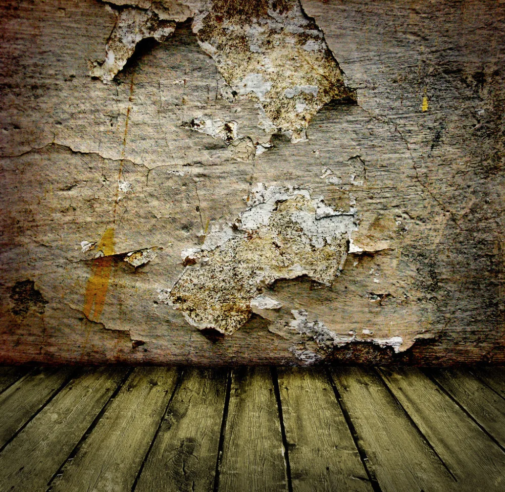 

10x10ft Vinyl Custom Photography Backdrops Prop Vintage Photography Background NTWV-5193