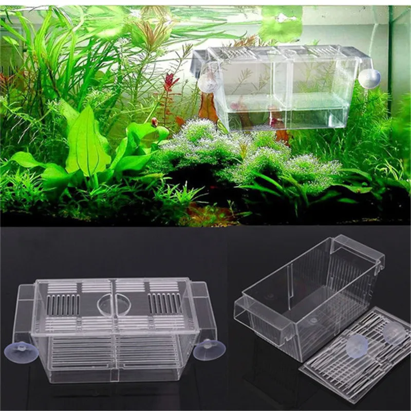 

Fry breeding box guppies fish hatching box fish tank isolation box juvenile betta fish box small fish incubator