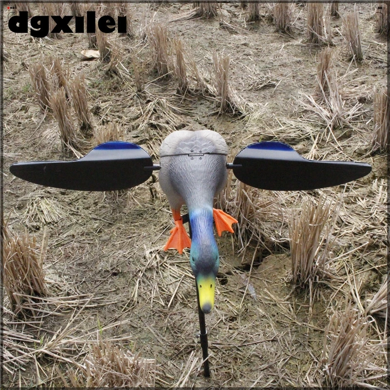 XL-1805-2 (1)