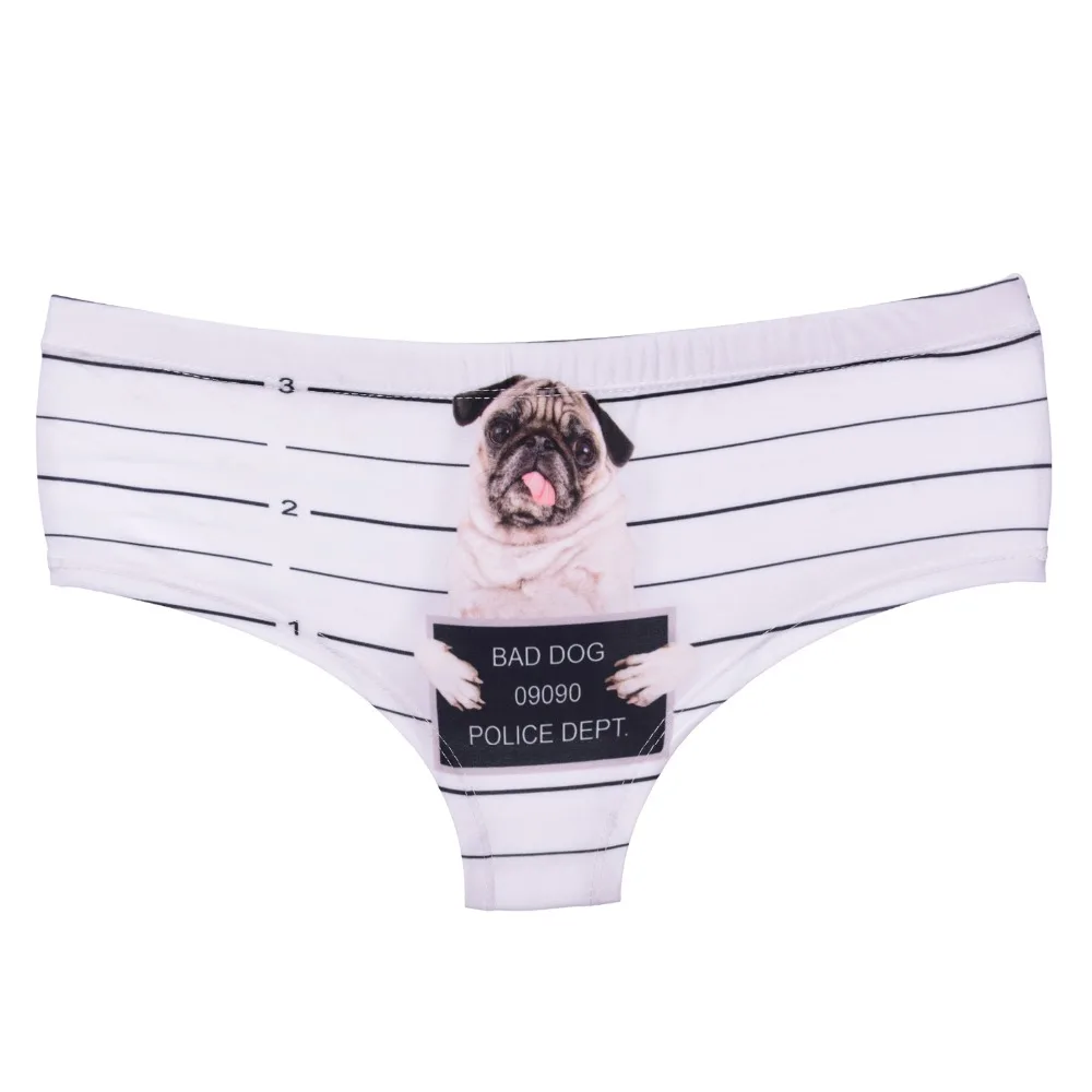 39429 pug jail (4)