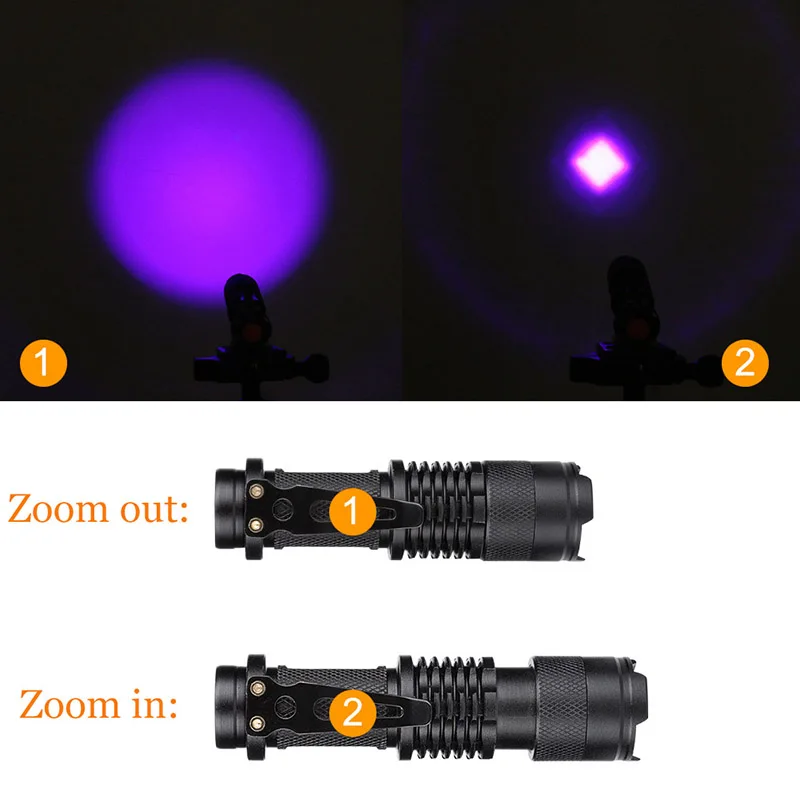 torch 5