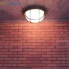 Vintage Outdoor Ceiling Lamp,Bronze Metal Glass Protective Yard Garden Ceiling Light,Waterproof Retro Flush Mount Light 6