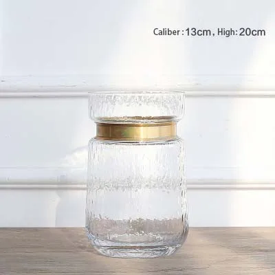 Европейская медная круглая прозрачная стеклянная ваза искусственное выдувное металлическое кольцо ваза сушеные цветы Декорации для дома - Цвет: Transparent  B