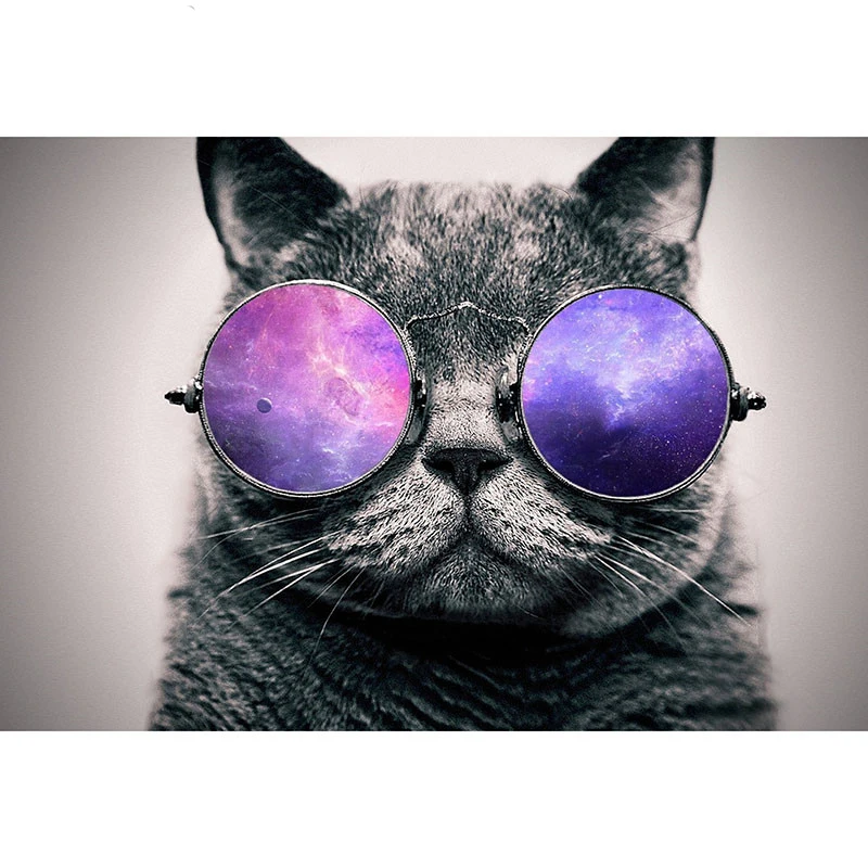 Full Square Diamond painting Cross stitch Cat wearing glasses Round Diamond mosaic 5D DIY Diamond embroidery scrapbook