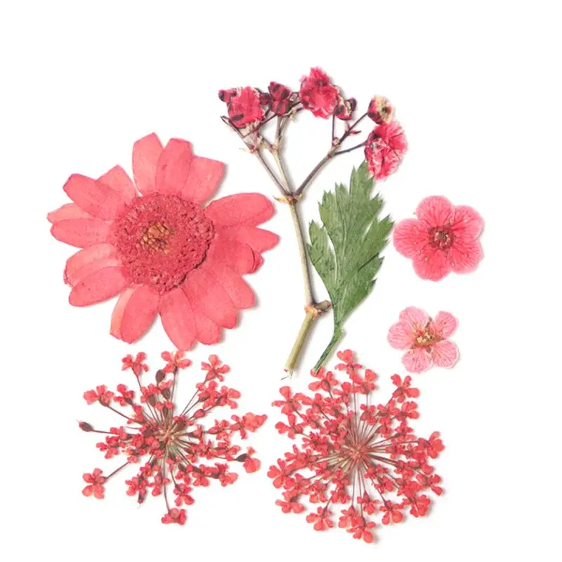 Сушеные цветы лист уф смолы украшения цветок сухой красоты ногтей наклейки эпоксидная форма DIY заполнение ювелирных изделий - Цвет: Красный