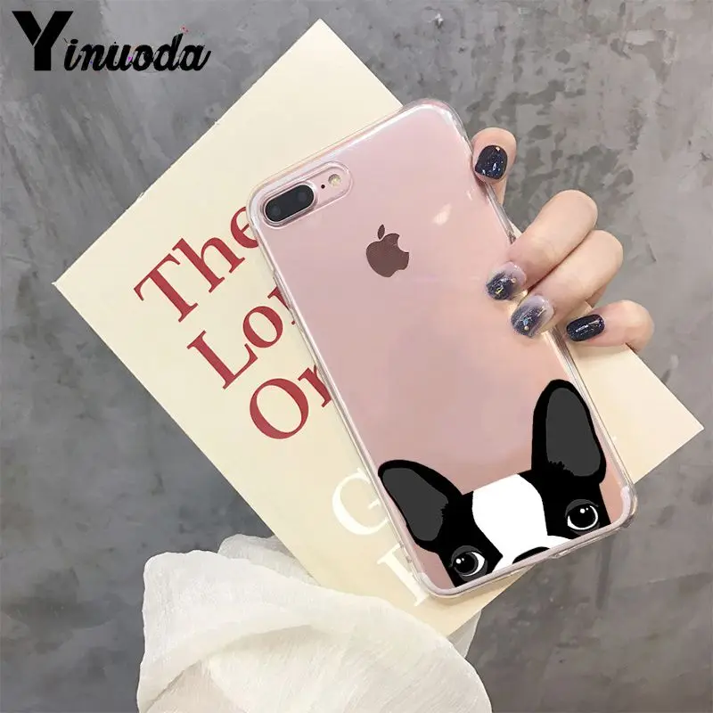 Cute and funny pet dog cat head