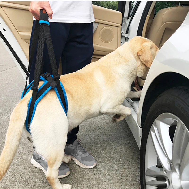 

Adjustable Dog Lift Support Harness for Back Legs Pet Support Sling Help Elderly Dog Stand Up Pet Dog Harness Aid Assist Tool