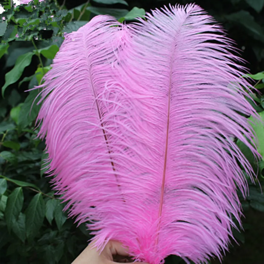 Wholesale. 500pcs Nature pink ostrich feathers 20 25 cm /8 10 Inch