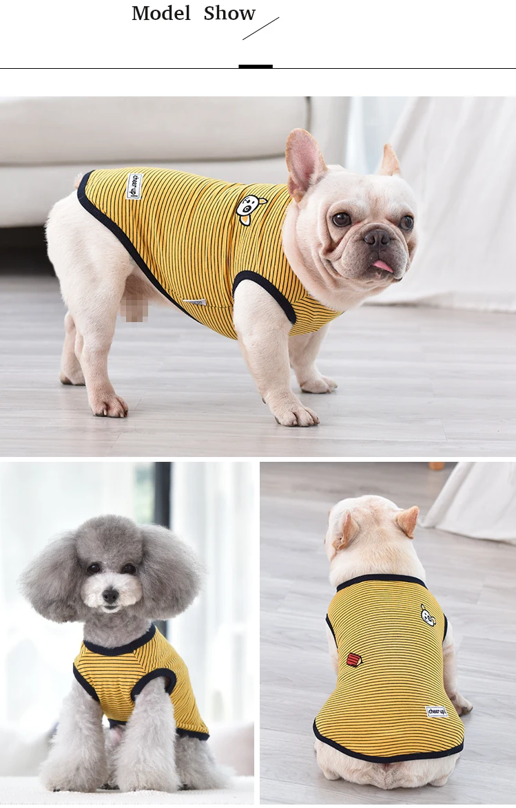 dog contume-6