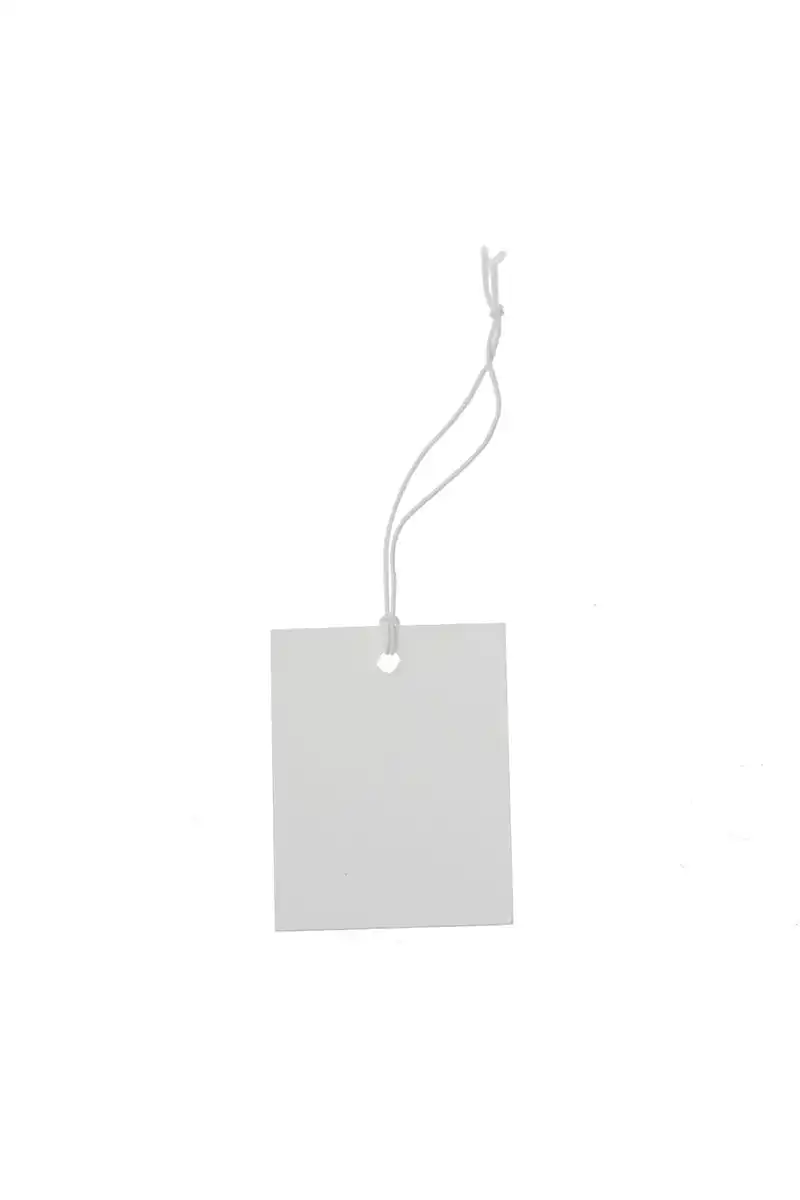paper luggage tags with string