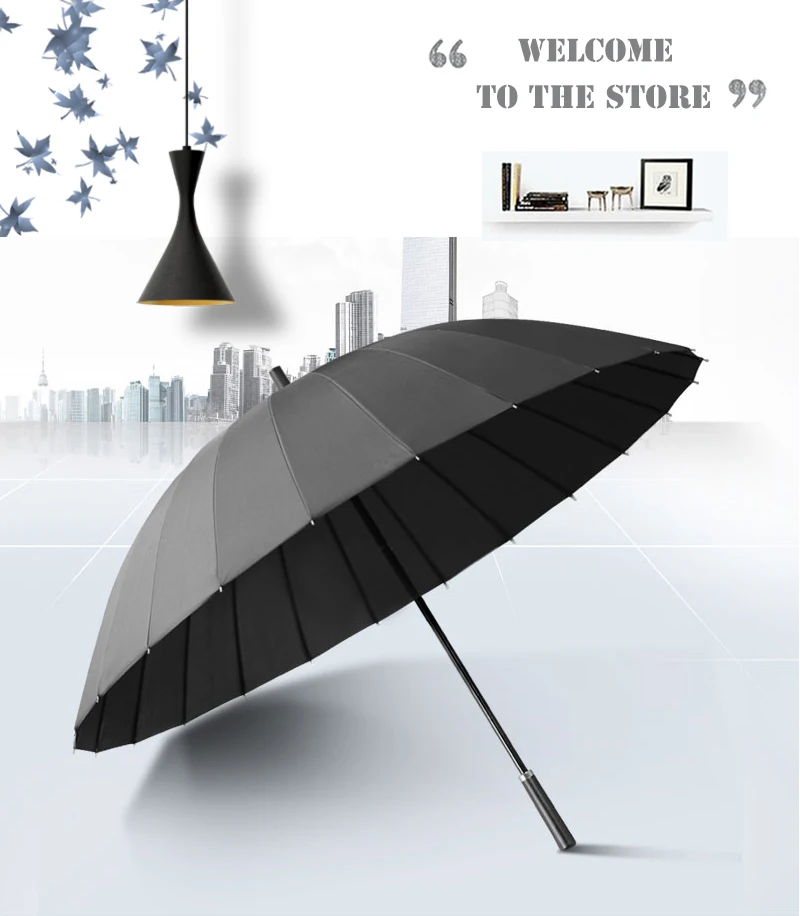 Transparent Umbrella (1)
