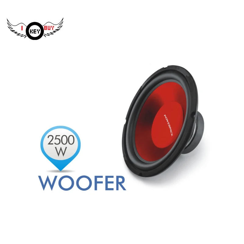 12 Inch Speakers (4)