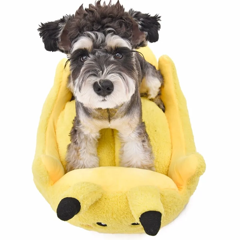 TB2YbDdtFXXXXc6XpXXXXXXXXXX_!!2193552176