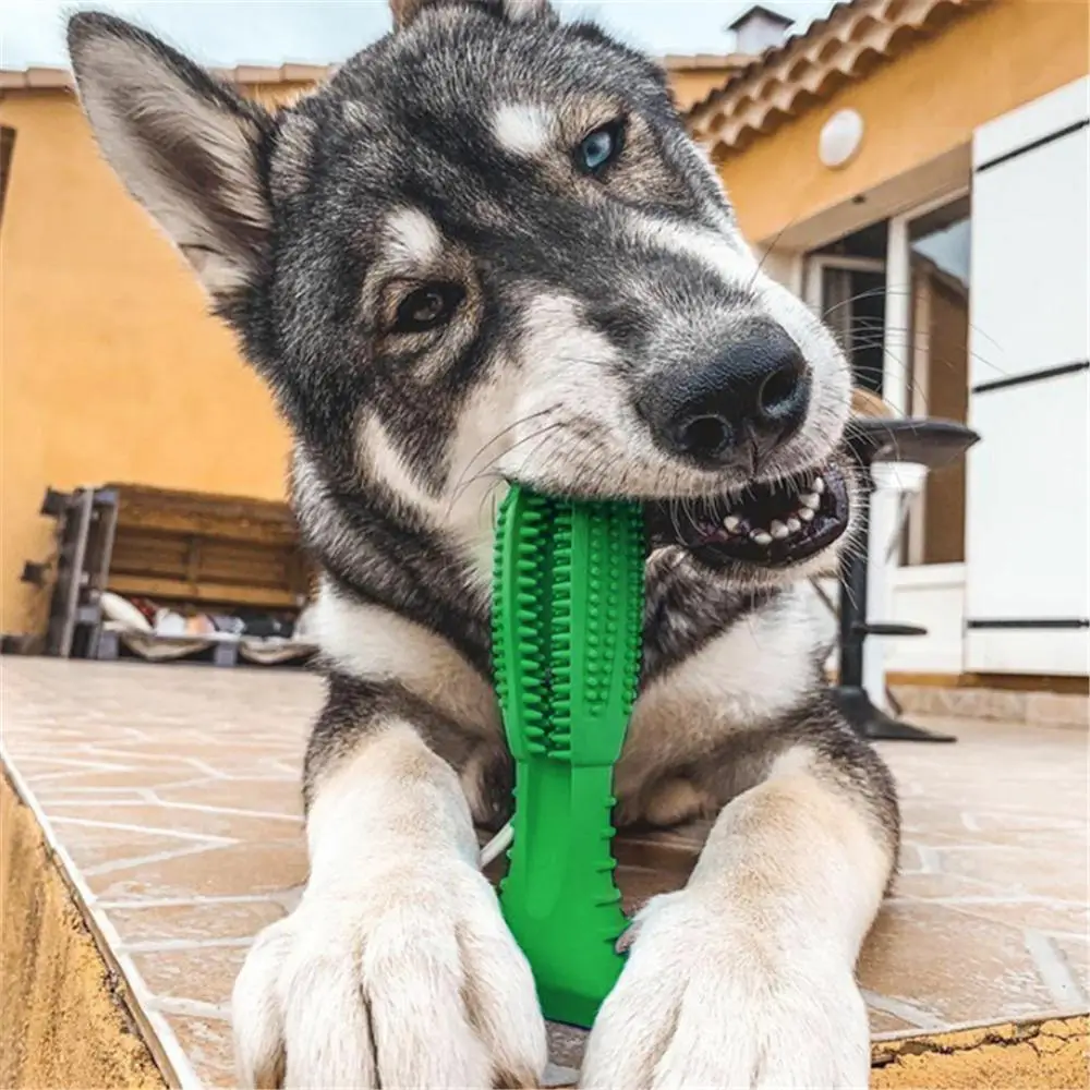 

1PC Dog Toothbrush Stick Pet Toothbrush Cleaning Chew Toy Teddy Teeth Care Products Cleaning Mouth Dog Supplies