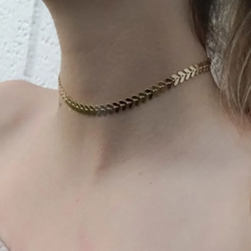 TB1Mm8ARXXXXXchXVXXYXGcGpXX_M2