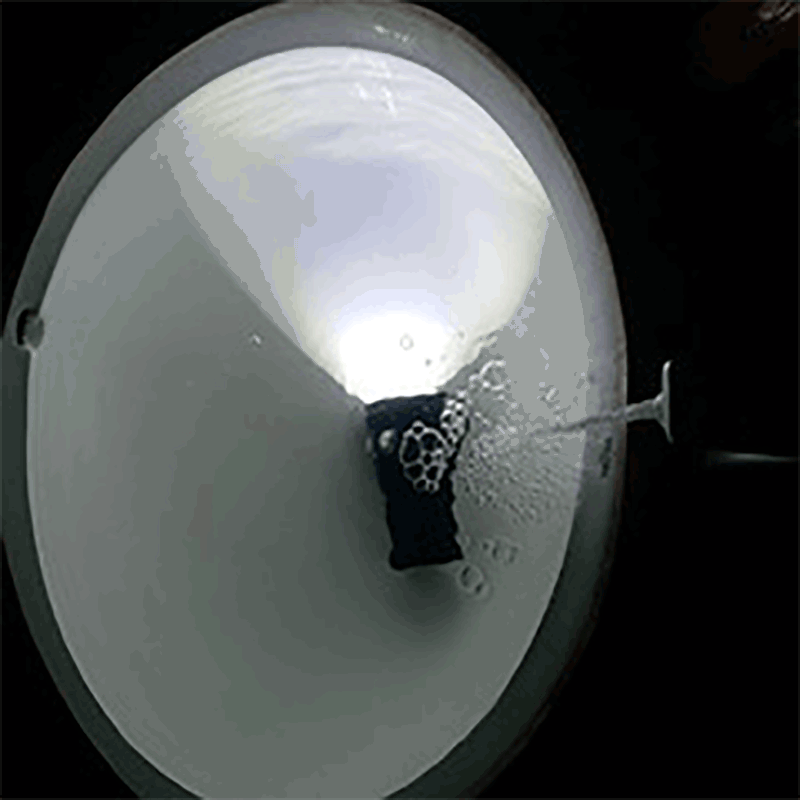 9964646464646464646664