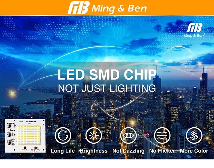 LED Lamp Chips_00