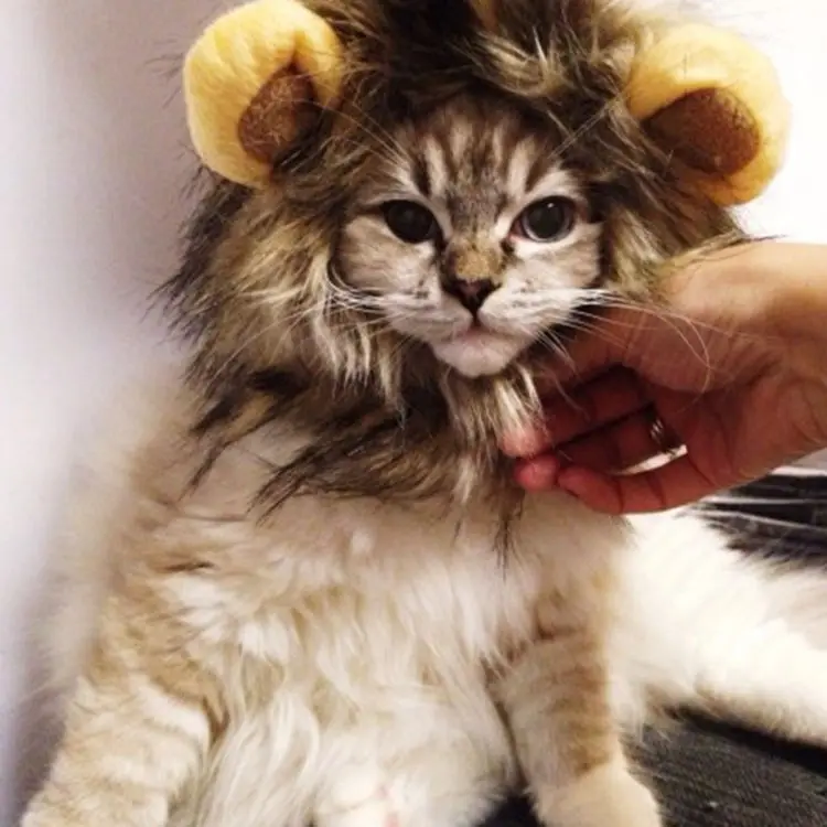 Костюм Львиной гривы для кошек маленьких собак Забавный парик льва с ушками