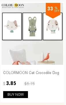 dianxiaobao