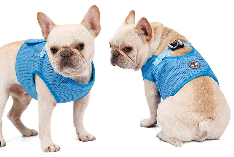 Dog Harness Breathable (11)