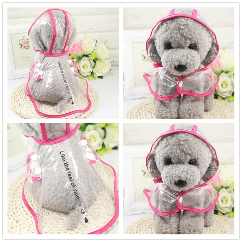 4075707263_799069744