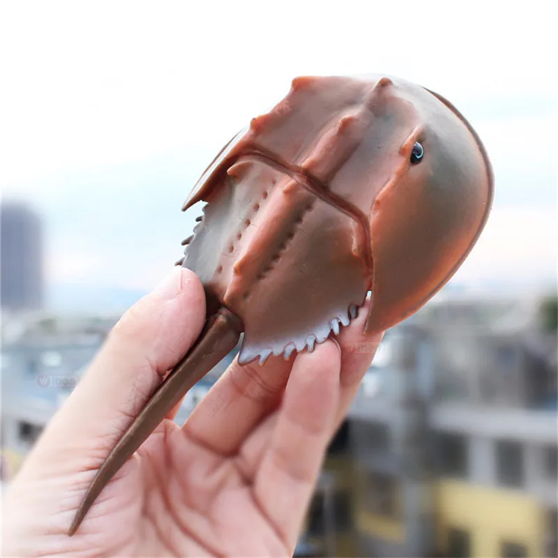 

1pc/lot Horseshoe crab Simulated Animals PVC Action Figure Collection Model Toys Ocean Animals Children Education Toys 16.5cm