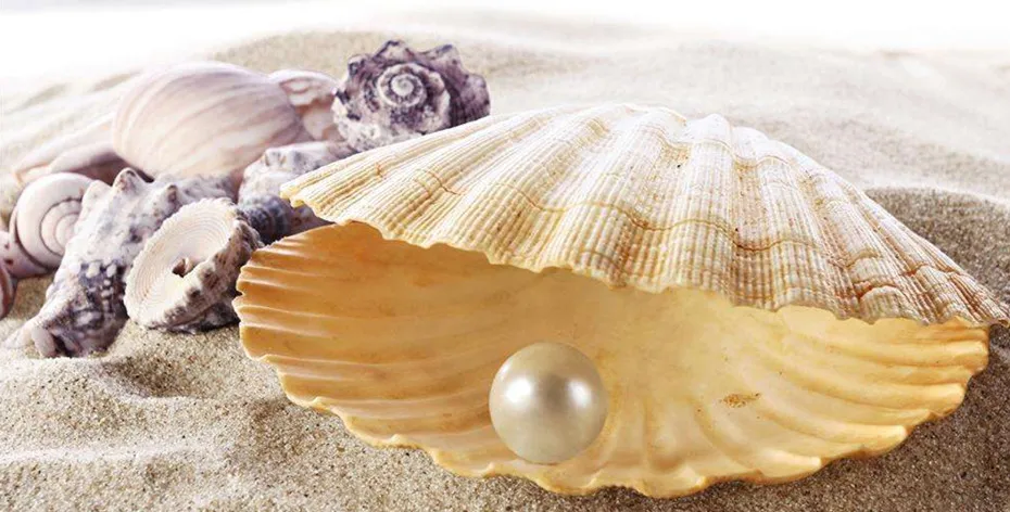 Гибкая AAA Новая Зеландия abalone paua shell перламутровый ламинированный лист оболочка шпон самоклеющиеся наклейки подложка 1 шт