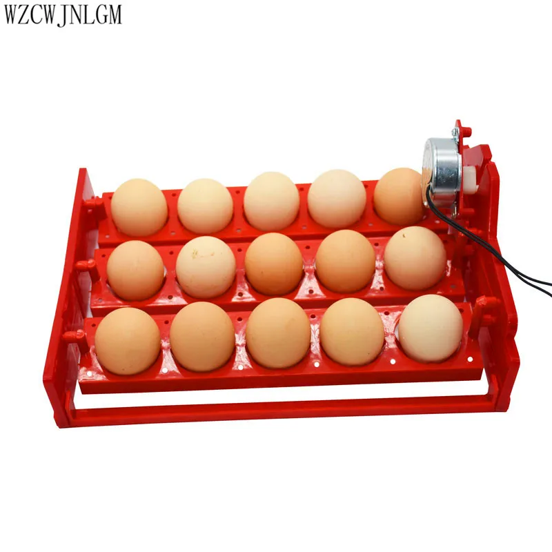 15 Egg Incubator Chicken Duck Goose Poultry Incubator 220V-110V Poultry Incubation Equipment 1pcs 15 Egg Incubator Chicken Duck Goose Poultry Incubator 220V-110V Poultry Incubation Equipment 1pcs