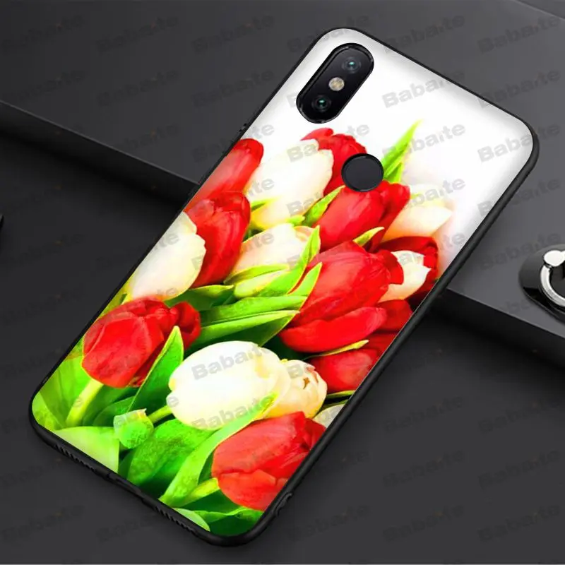 tulip flower 