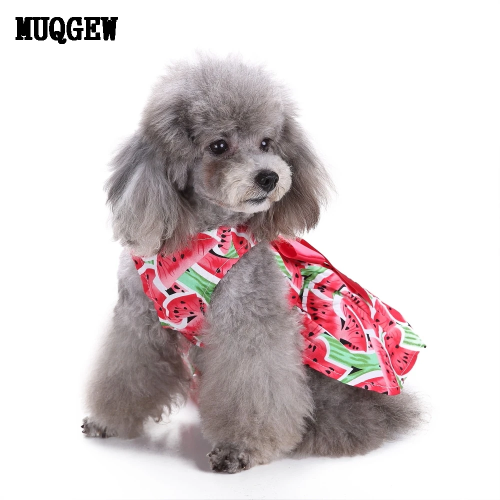 Buy MUQGEW Dog Clothes For Small Dogs Summer Puppy