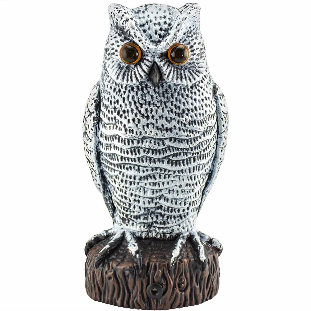 81+2tIamcPL._SL1500_